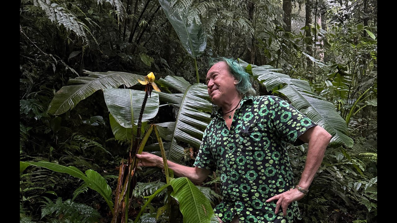 FIELD TRIP WITH PATRICK BLANC IN WEST PAPUA - ARFAK MOUNTAINS RAINFOREST
