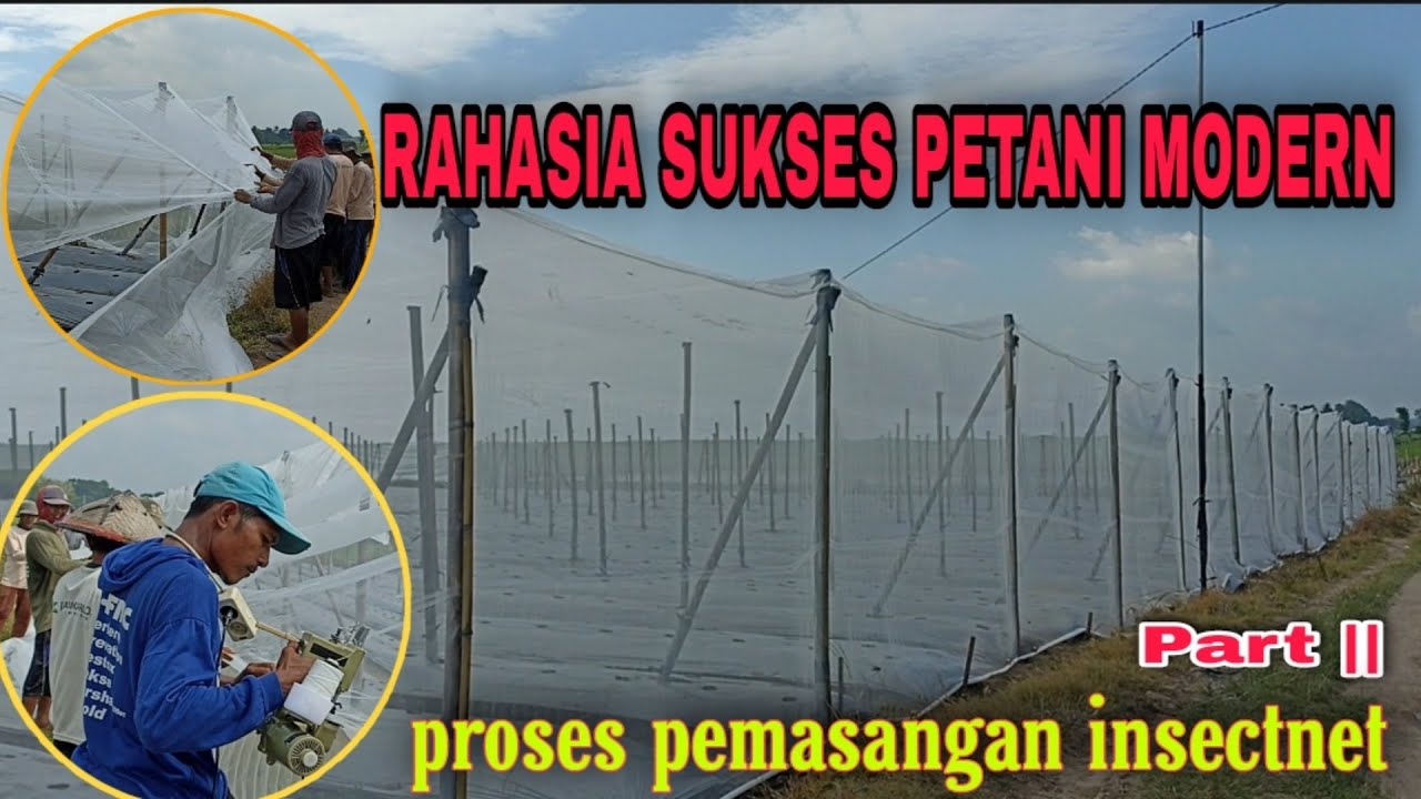 Cara pembuatan nethouse part ll  proses pemasangan inseknet