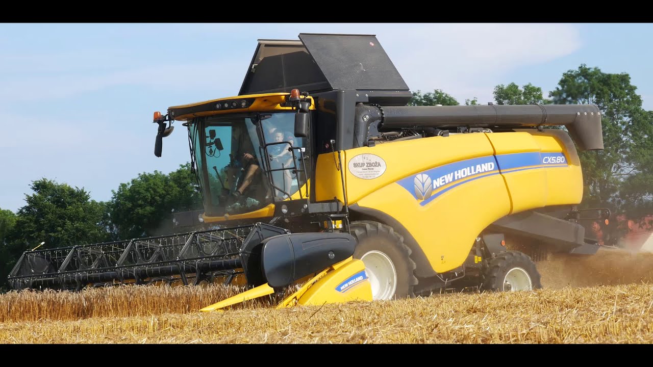Żniwa 2020 || New Holland CX 5.80