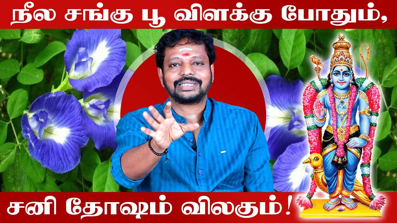 Sani Thosam Pariharam in Tamil | சனி தோஷம் நீங்க | Sani Thosam | Sani Thosam Neenga in Tamil