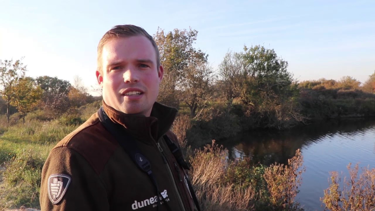 Vogeltrek in Meijendel