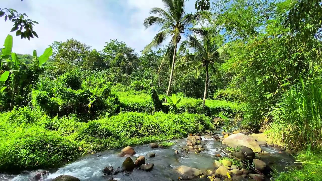 🌿 Sunset River Serenity | Soft Flowing Water For Evening Calm