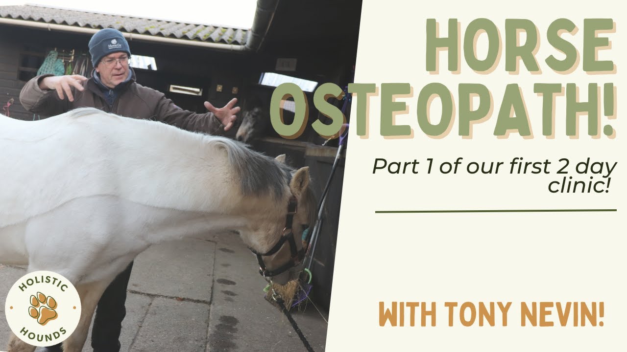 Our first 2 day Therapy Clinic!