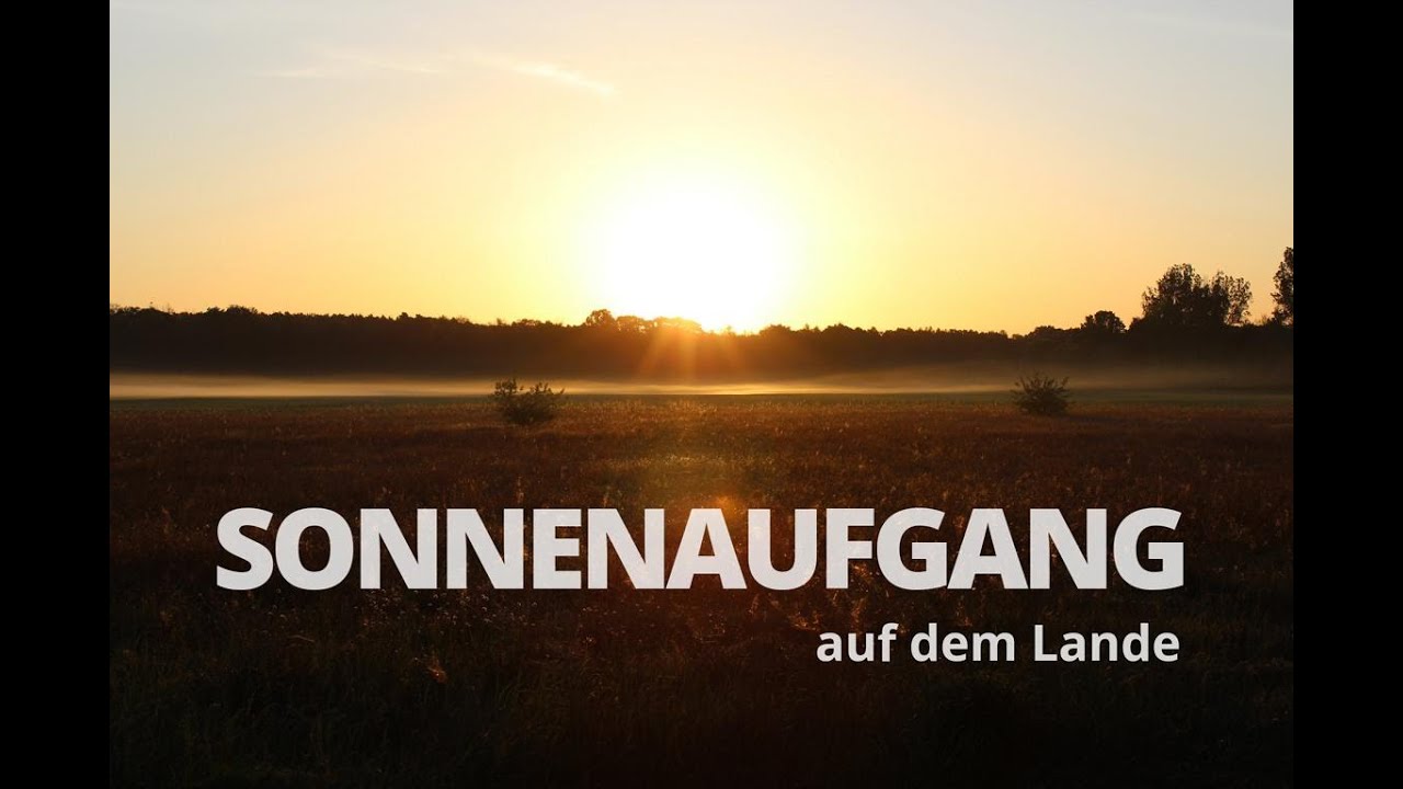 [Inspiration] Sonnenaufgang auf dem Lande | ohne Musik | original Naturgeräusche | Lese-Atmosphäre