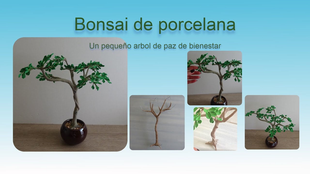 Bonsai de porcelana
