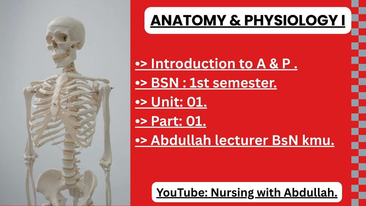 Introduction to anatomy and physiology in urdu| Bsn 1st semester| Unit 1,part 1| #anatomy