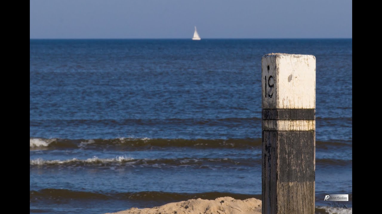 Texel 2019