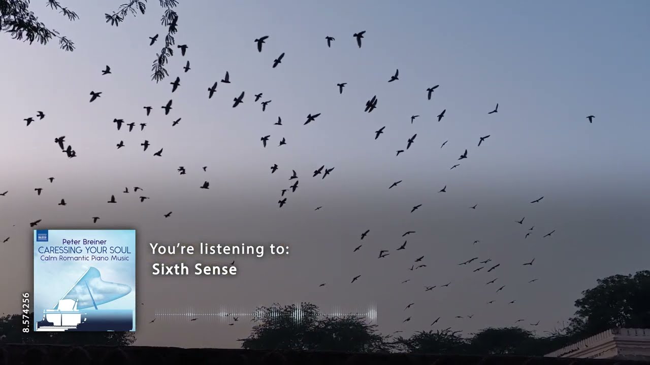 Peter Breiner: Sixth Sense (music video)