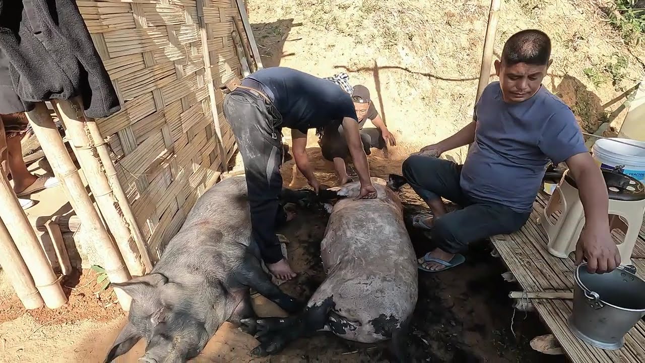A Day in a Nagaland Village | Traditional Changki Wedding Feast Preparation | Naga Changki wedding