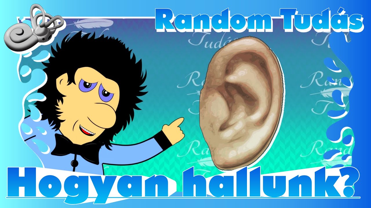 👂HOGYAN HALLUNK? ELMAGYAR&Aacute;ZOM. 👂🧑&zwj;🎓 -  Random Tud&aacute;s