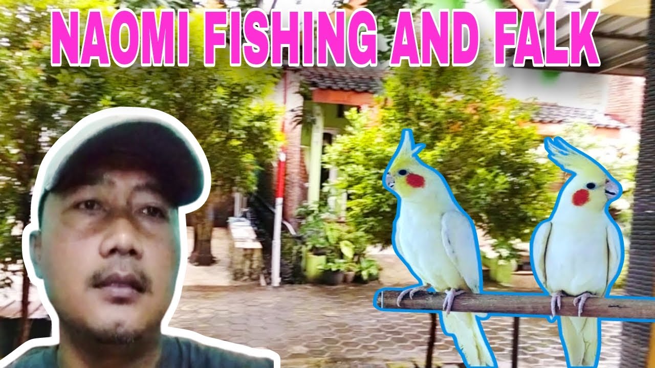 BERUBAH !! ADA APA DENGAN CHANNEL YOUTUBE NAOMI FISHING ADVENTURE