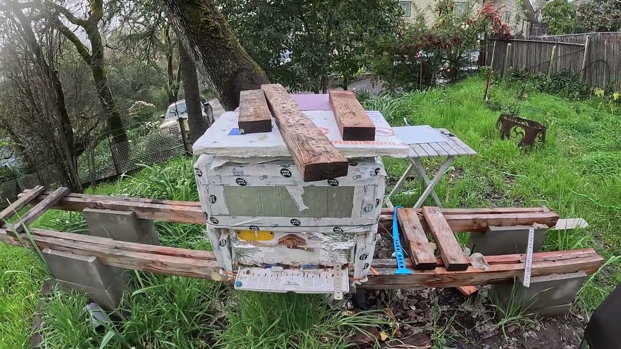 HEATER BEEHIVE -LIL'HIVE vs POLAR VORTEX #beerescue #beekeeper #beehive #varroa #apimaye  #hivegate
