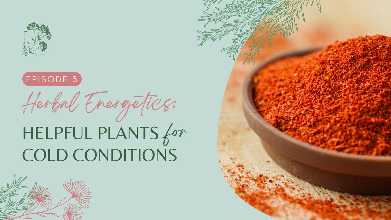 Helpful Plants for Cold Conditions
