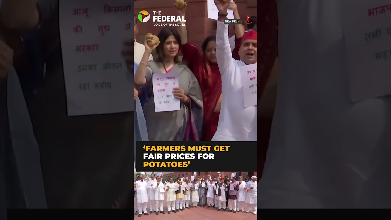 SP workers protest outside Parliament over potato prices | #shorts