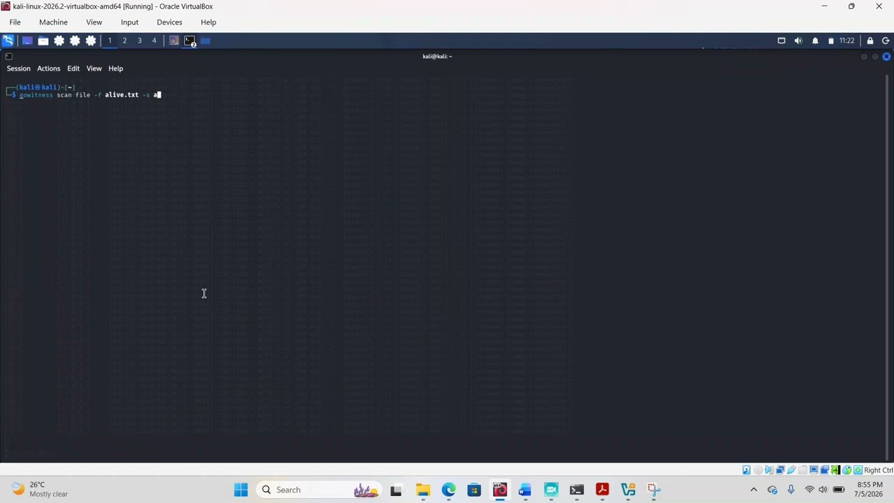 Bug Bounty Recon: Демонстрация Subfinder + Httprobe + Gowitness #вирусное #тренды #видео