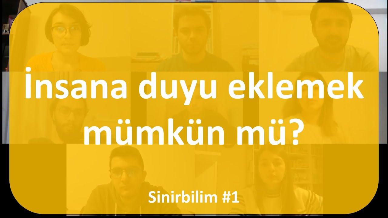 Sinirbilim #1- İnsana duyu eklemek mümkün mü?