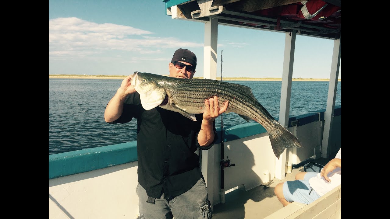 Parker River WildLife Refuge Sandy Point and Plum Island Fishing