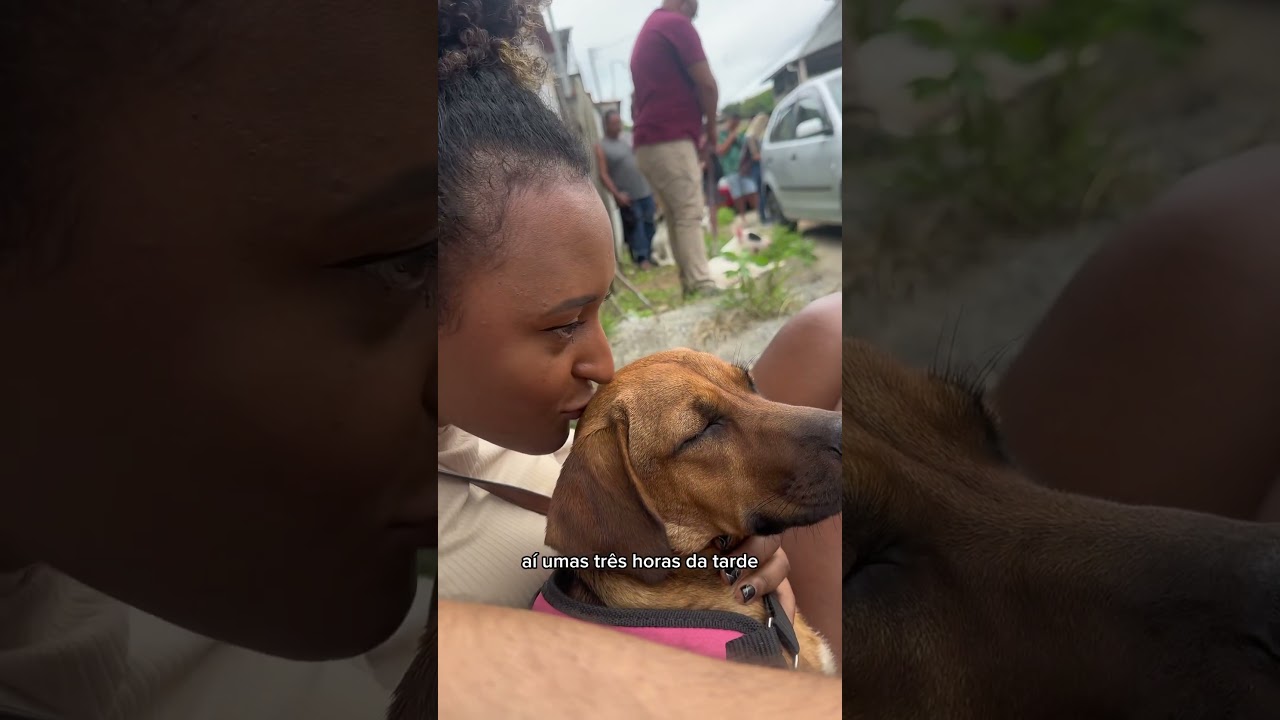 O dia que levei meus cachorros para castrar