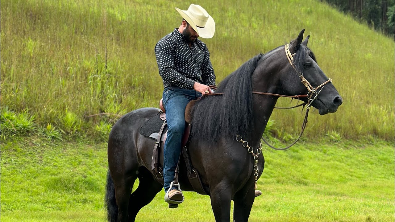 Country Boy - Rodrigo Marim - Cover Alan Jackson