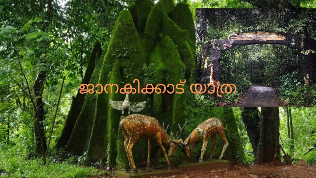 ജാനകിക്കാട് യാത്ര  കുറ്റ്യാടി🦁#longvideo #forest