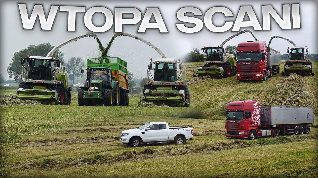 🇵🇱 Zbiór Traw na 2 sieczkarnie ! | Wtopa scani | GR. Małecki | 🇵🇱