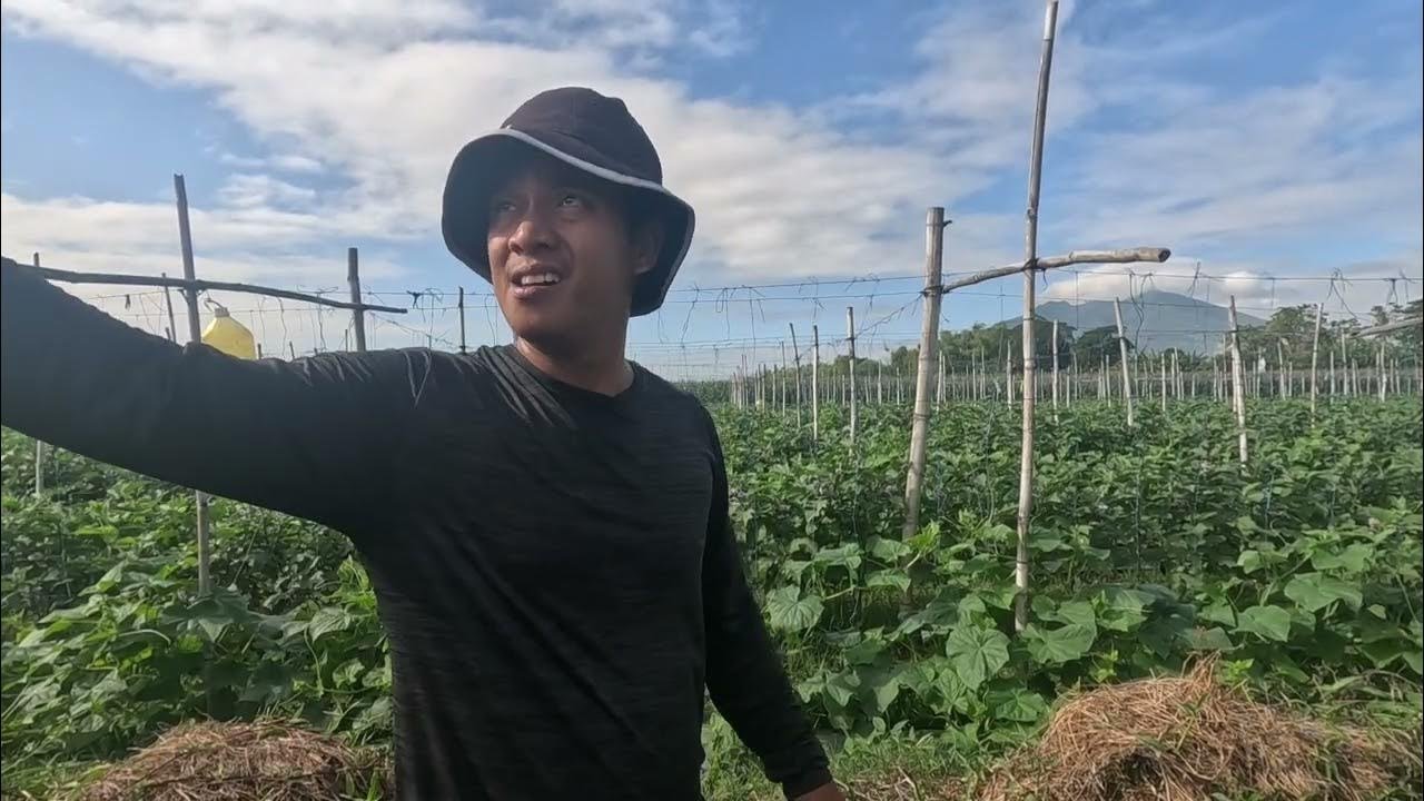 8th HARVEST - NAKAKASAKIT NG ULO ANG HINDI MAKA-INTINDI