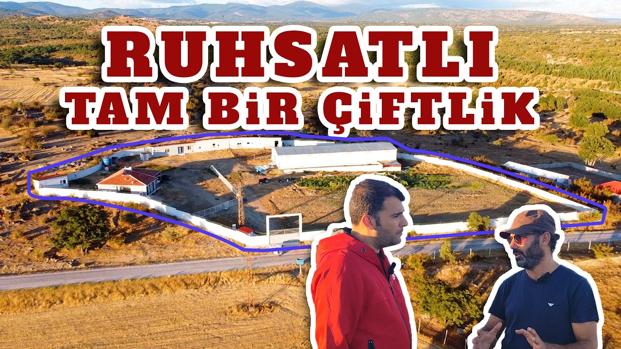 Kırklareli Pınarhisar’da 8.600 m² Hazır Ruhsatlı Çiftlik – Satılık & Kiralık | Acilyerler.com Özel