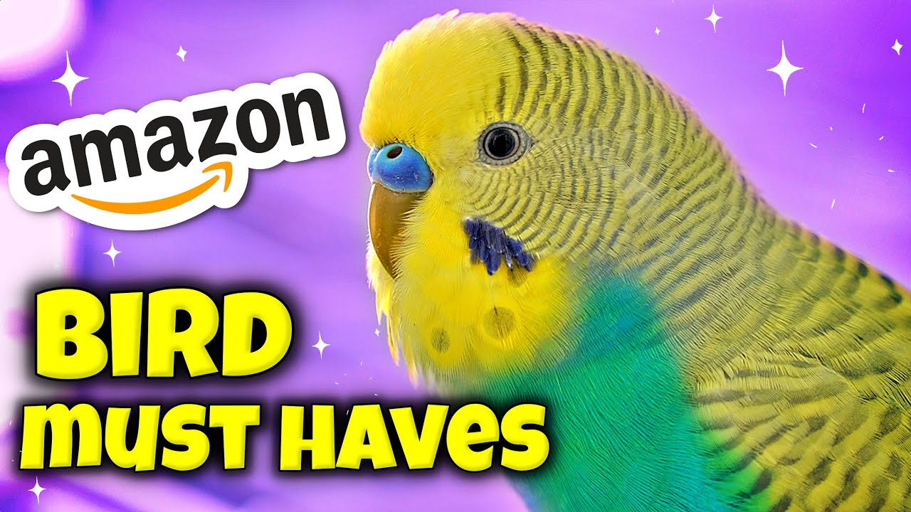 5 Amazon Must Haves for you Pet Bird #4