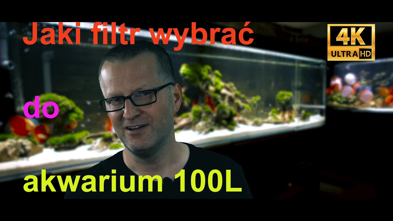 Jaki filtr wewnętrzny wybrać do akwarium 100L