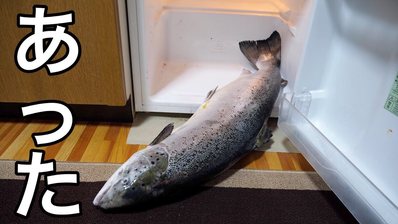 そういえば冷蔵庫に巨大サーモンあったから、それ使って飯つくってみた
