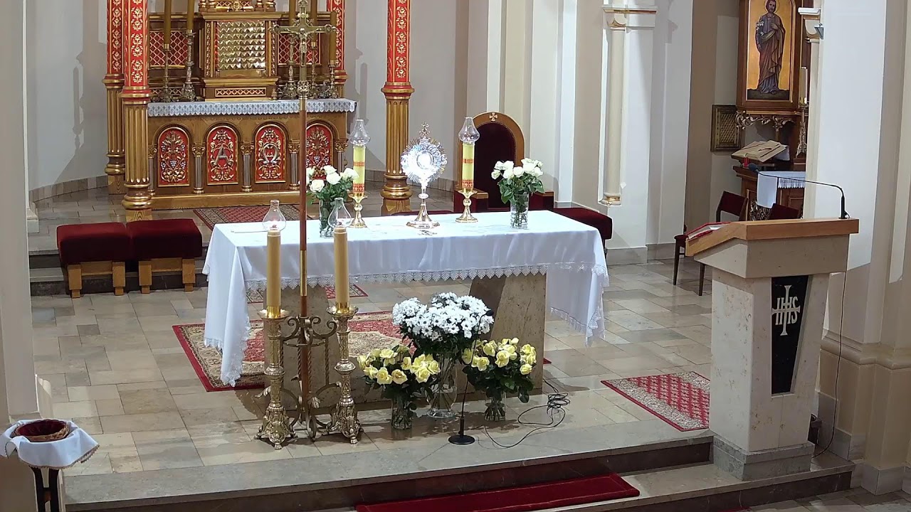 17.02.2026 r. - 8.00   Msza św.