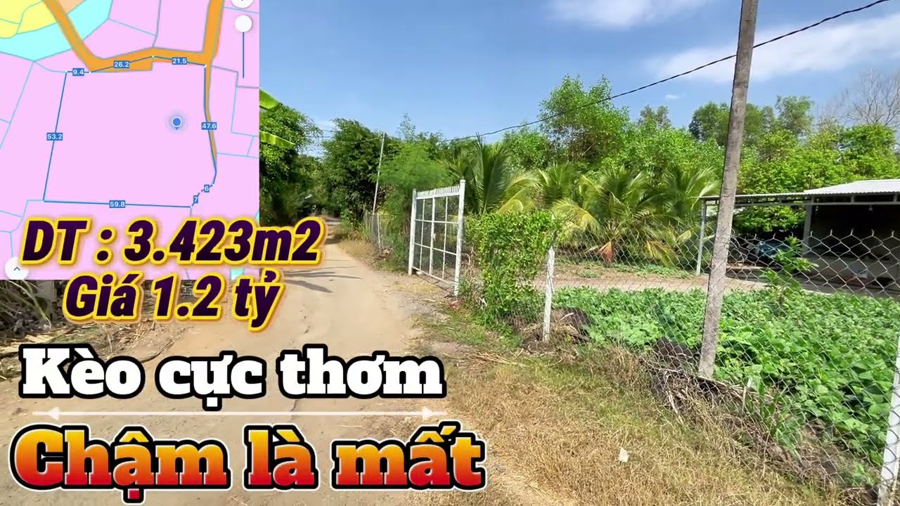 VƯỜN TRÁI CÂY AO CÁ | quy hoạch ONT 100% đất . Tiện ích xung quanh 700m . Ngộp bán giá hời !!!
