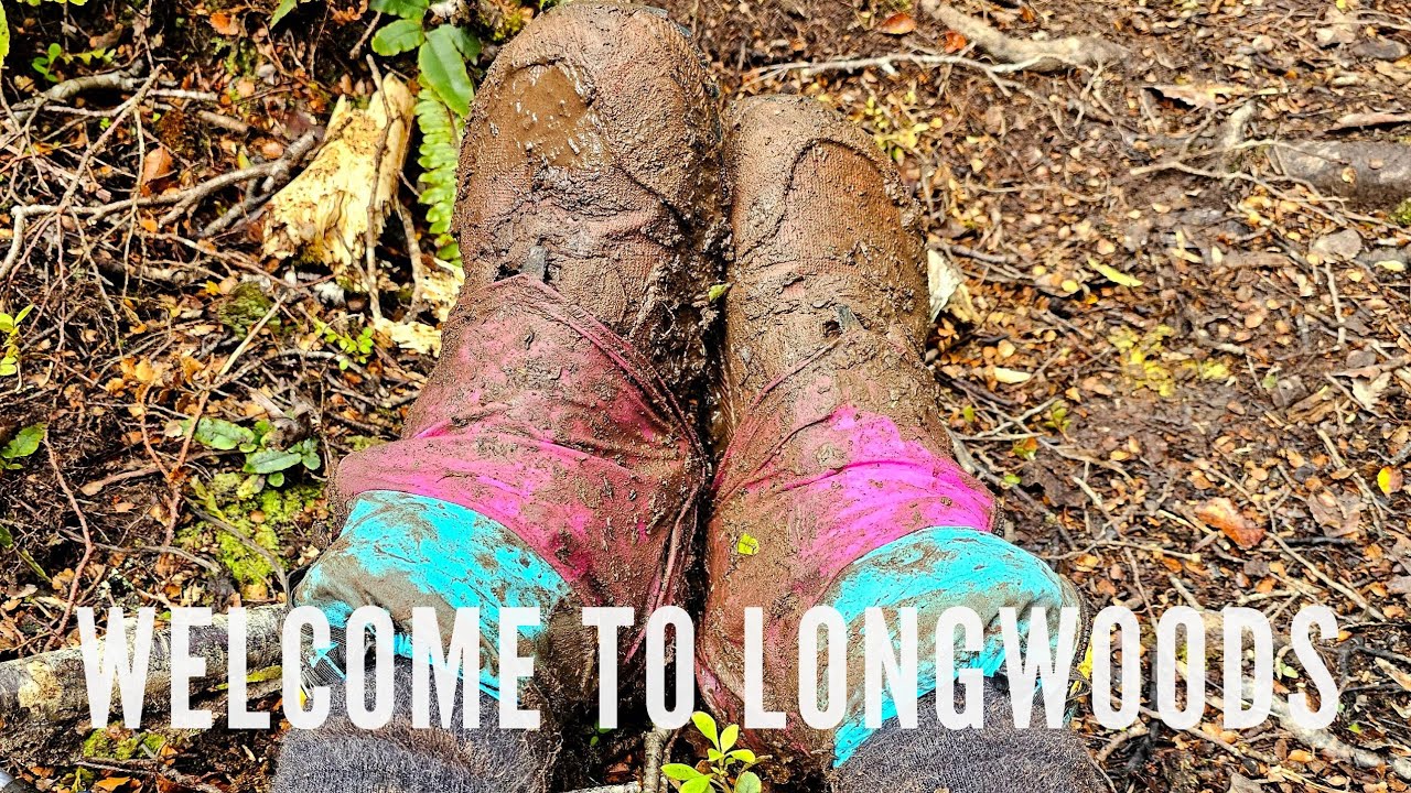Day 8: Colac Bay to the Longwoods, Muddy Days Ahead | Te Araroa South Island