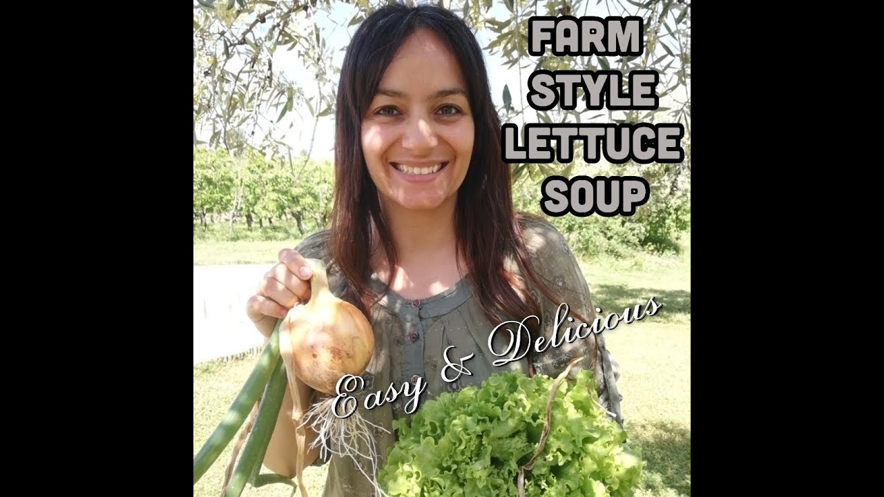 3: Easy and delicious Farm Style Lettuce Soup on our farm in Central Portugal!!!