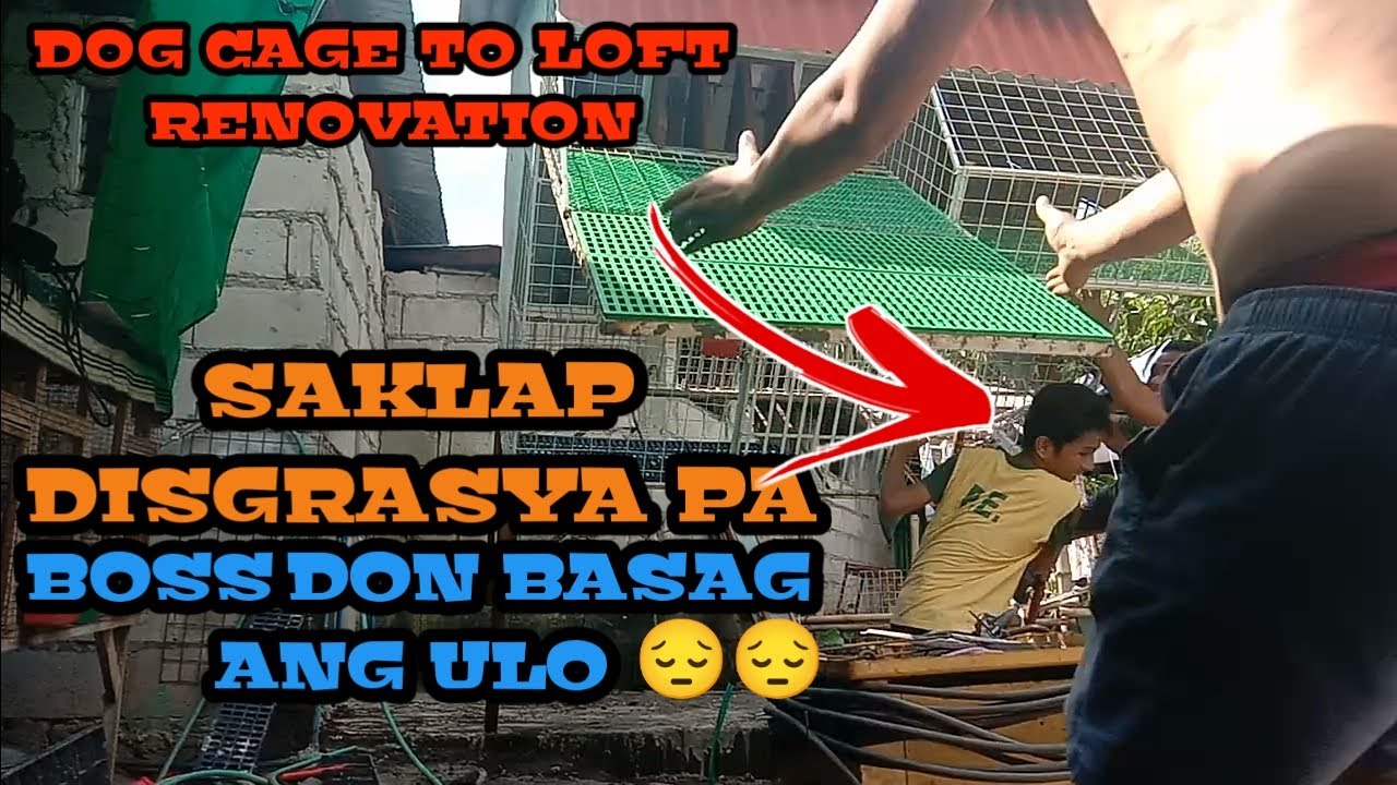 DOG CAGE NA GINAWANG PIGEON LOFT / RENOVATION NANAMAN DISGRASYA PA SAKLAP /WELZ LOFT TV