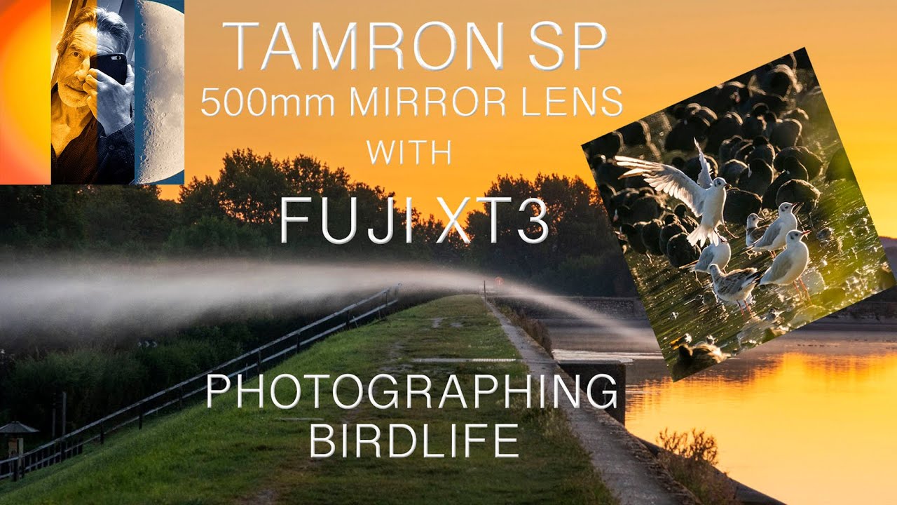 Fuji XT3 & Tamron SP 500mm Mirror Lens Photographing Birdlife