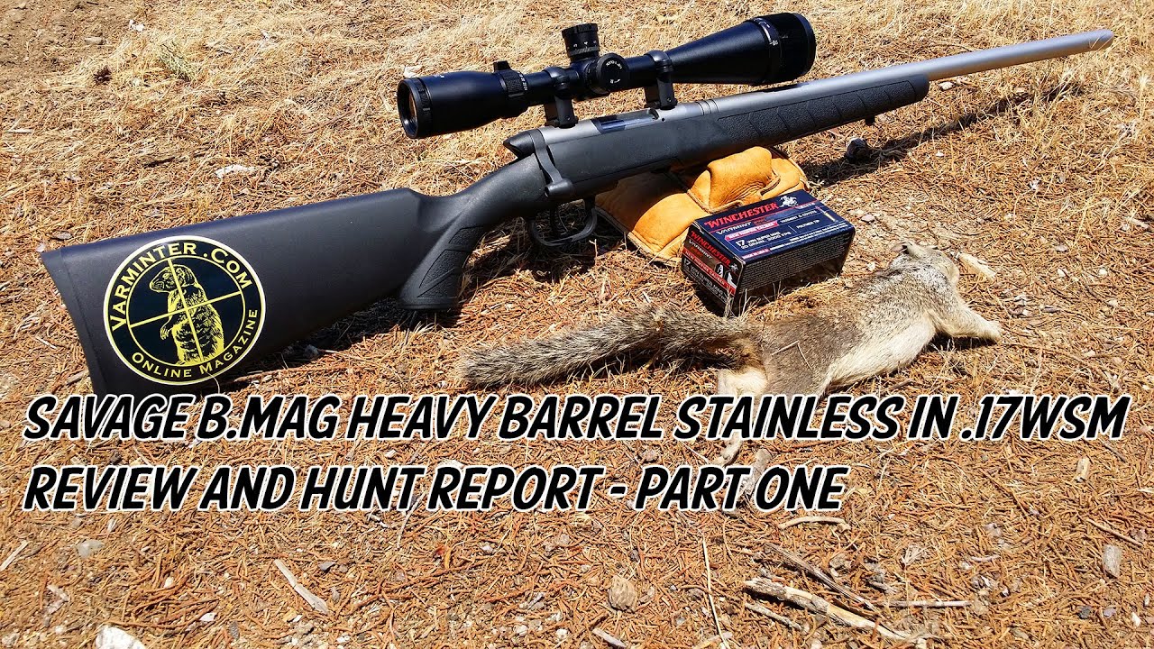 Обзор и отчёт об охоте на тяжёлый ствол Savage B.MAG из нержавеющей стали 17WSM. Часть первая