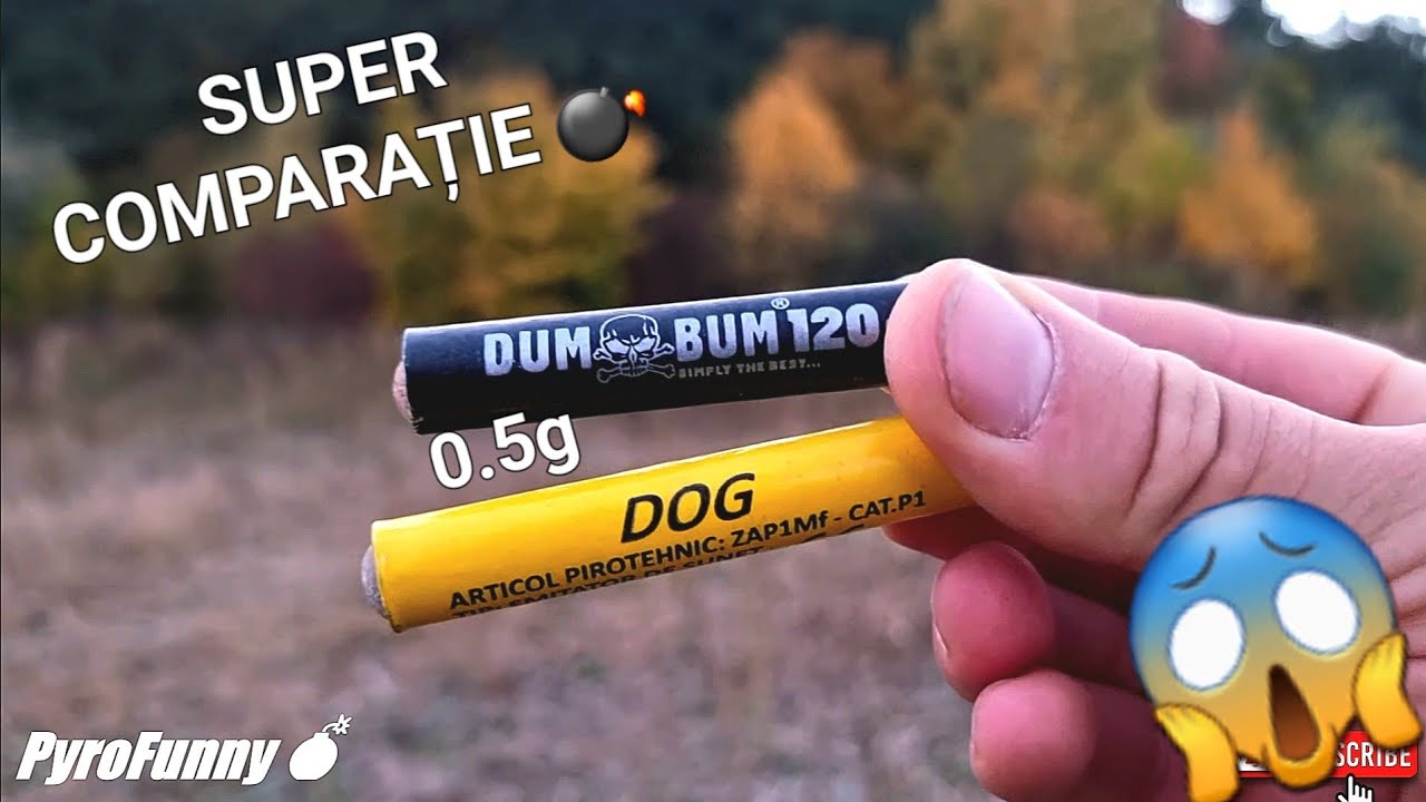 💥DUM BUM 120dB 🆚️ DOG 2023 - Comparație Petarde 2024💣
