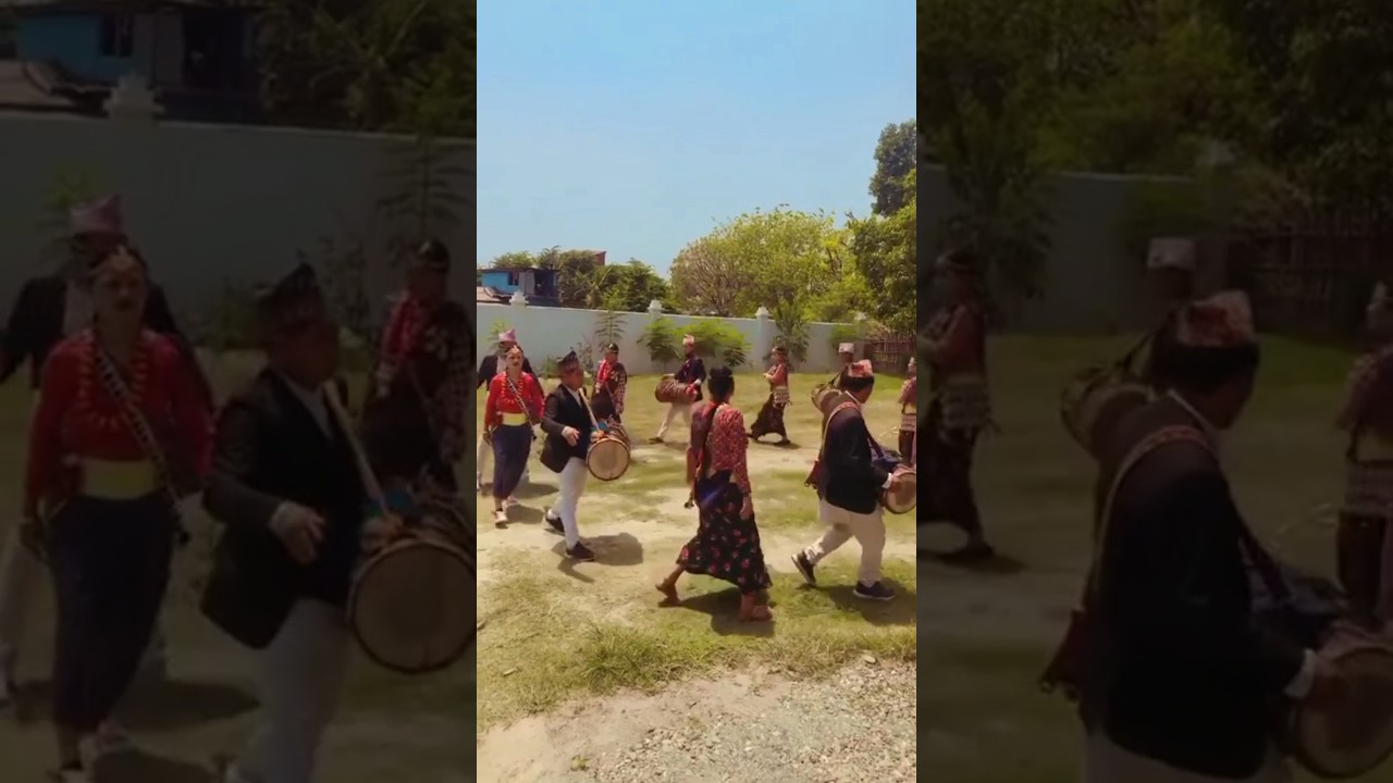 Limbu Palam Song Sammyangfung || Yakthung K Lang Dance #shorts