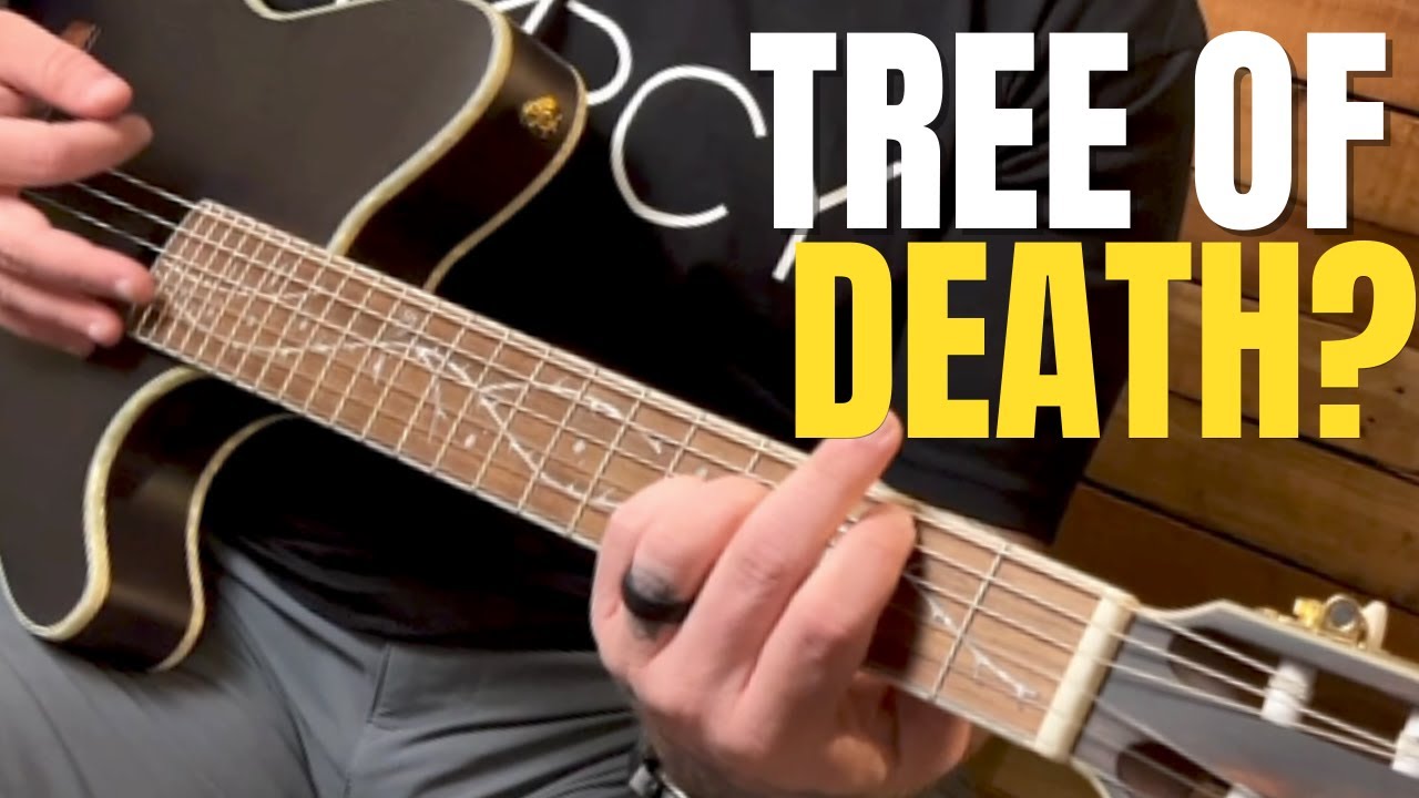 Tim Henson's Signature Ibanez TOD10NTKF: The Ultimate Nylon Acoustic-Electric Guitar Experience