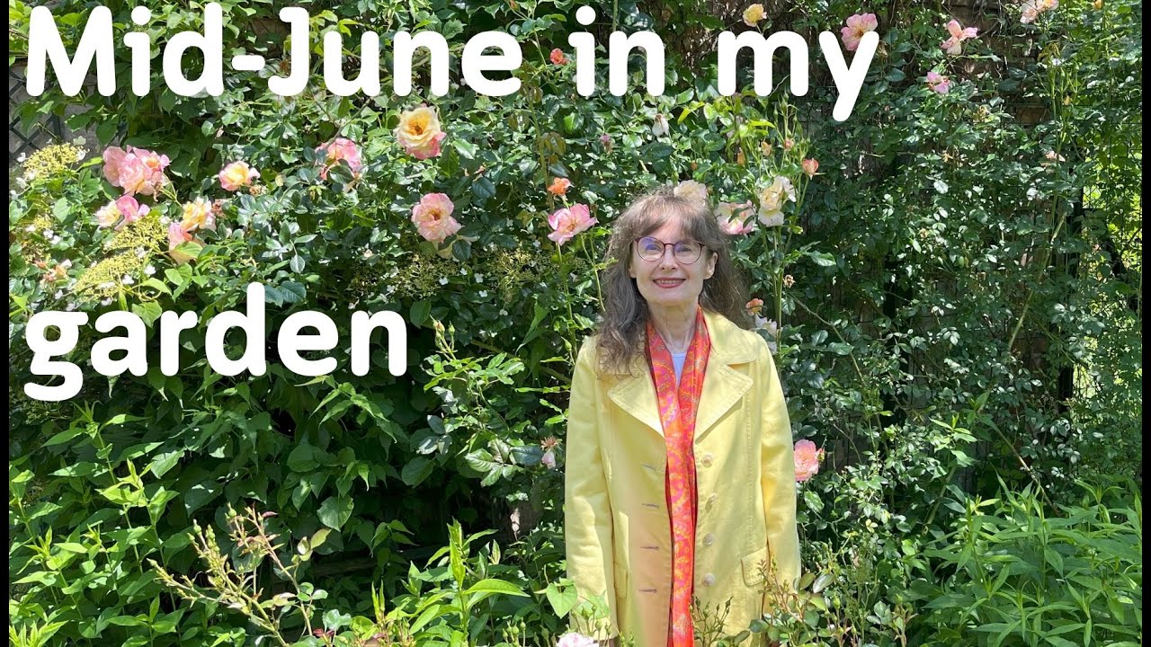 My GARDEN in JUNE (CCs in many languages) #garden #garten #jardin
