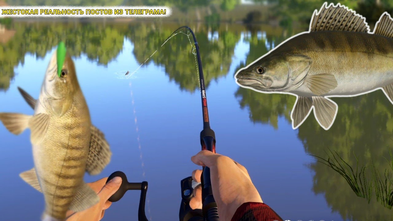 ЖЕСТОКАЯ РЕАЛЬНОСТЬ КРАСИВЫХ ПОСТОВ ИЗ ТЕЛЕГРАМА! КУПИЛ ПЕРВУЮ 10 000-УЮ КАТУШКУ!