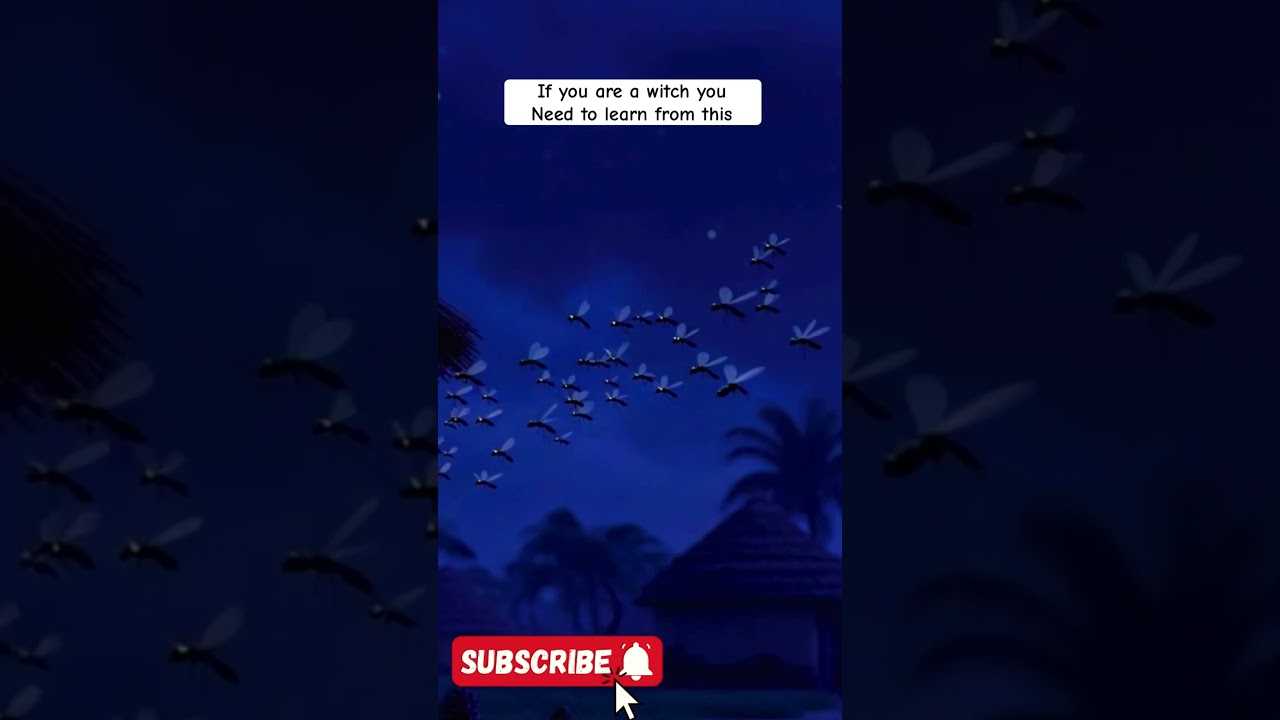 She sold Moquitoes at night
