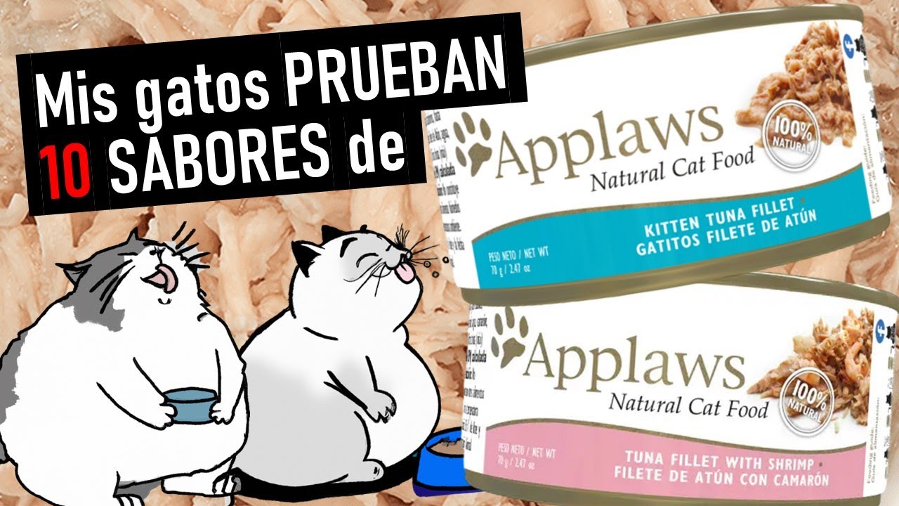 Mis GATOS prueban 10 SABORES de APPLAWS