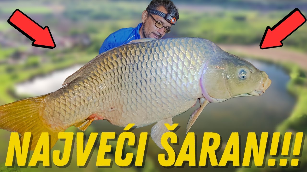 😲😲😲UPECAN NAJVEĆI ŠARAN!!!😲😲😲