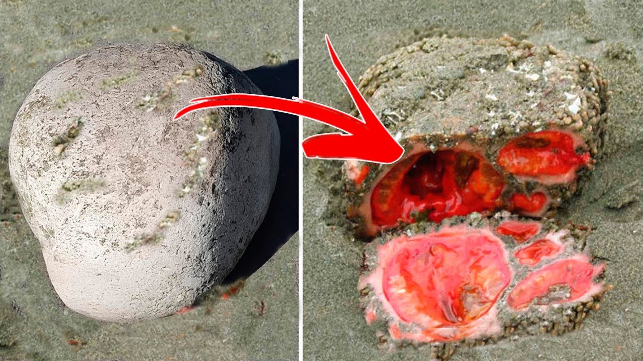 10 Kamenů, Kterých Byste se Nikdy Neměli Dotýkat Rukama