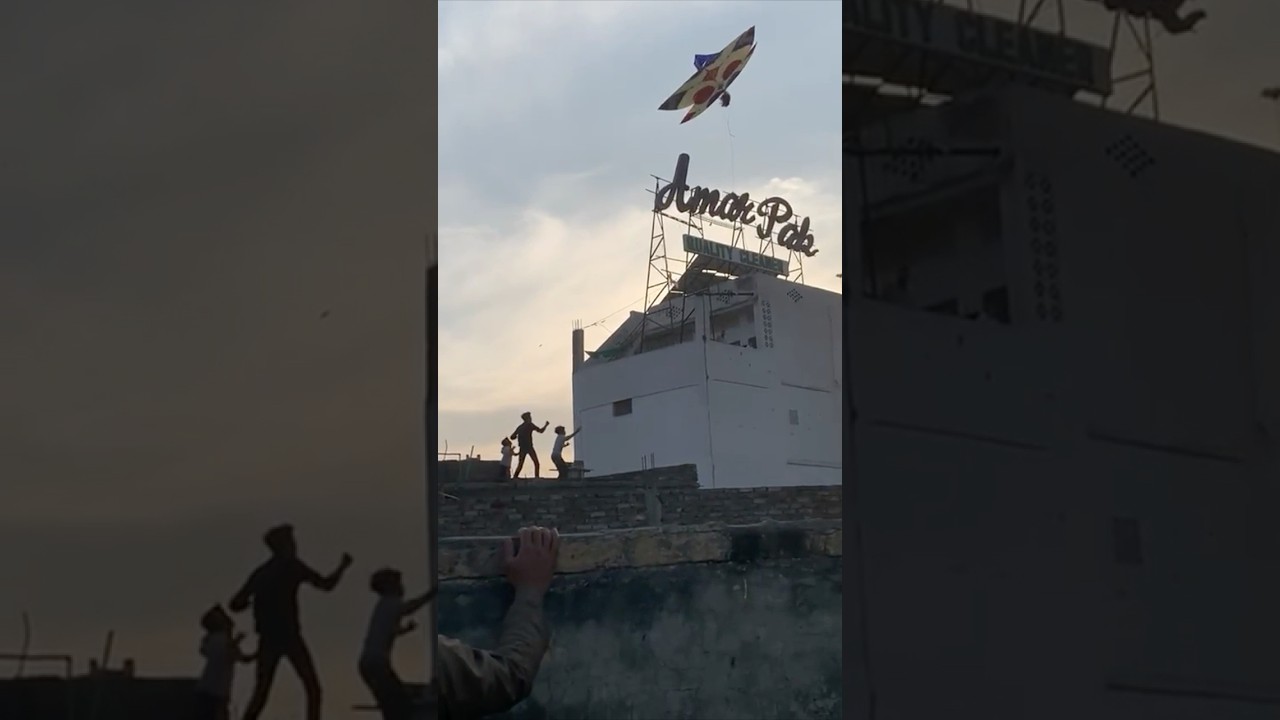 Kids Catch Big Patang #patang #KiteCatch #Shorts
