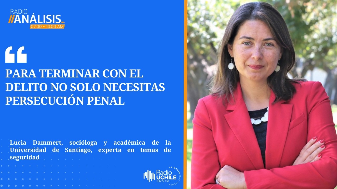 Lucía Dammert: “Para terminar con el delito no solo necesitas persecución penal”