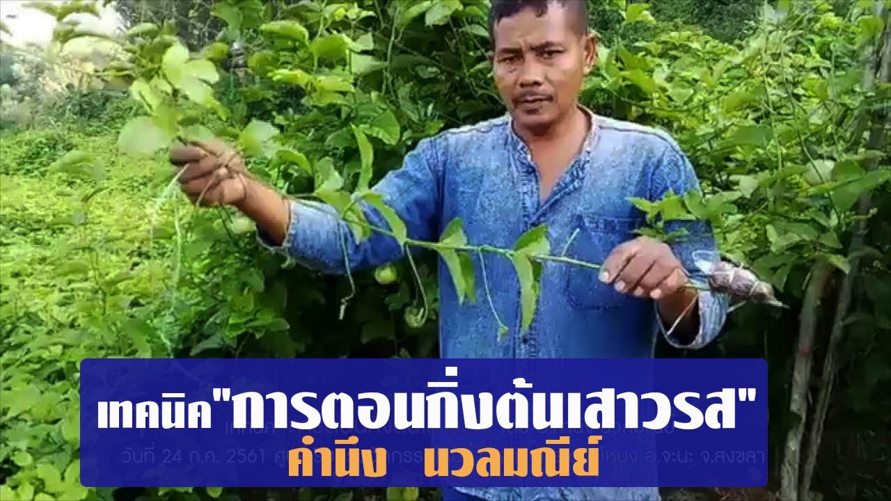 เทคนิค 