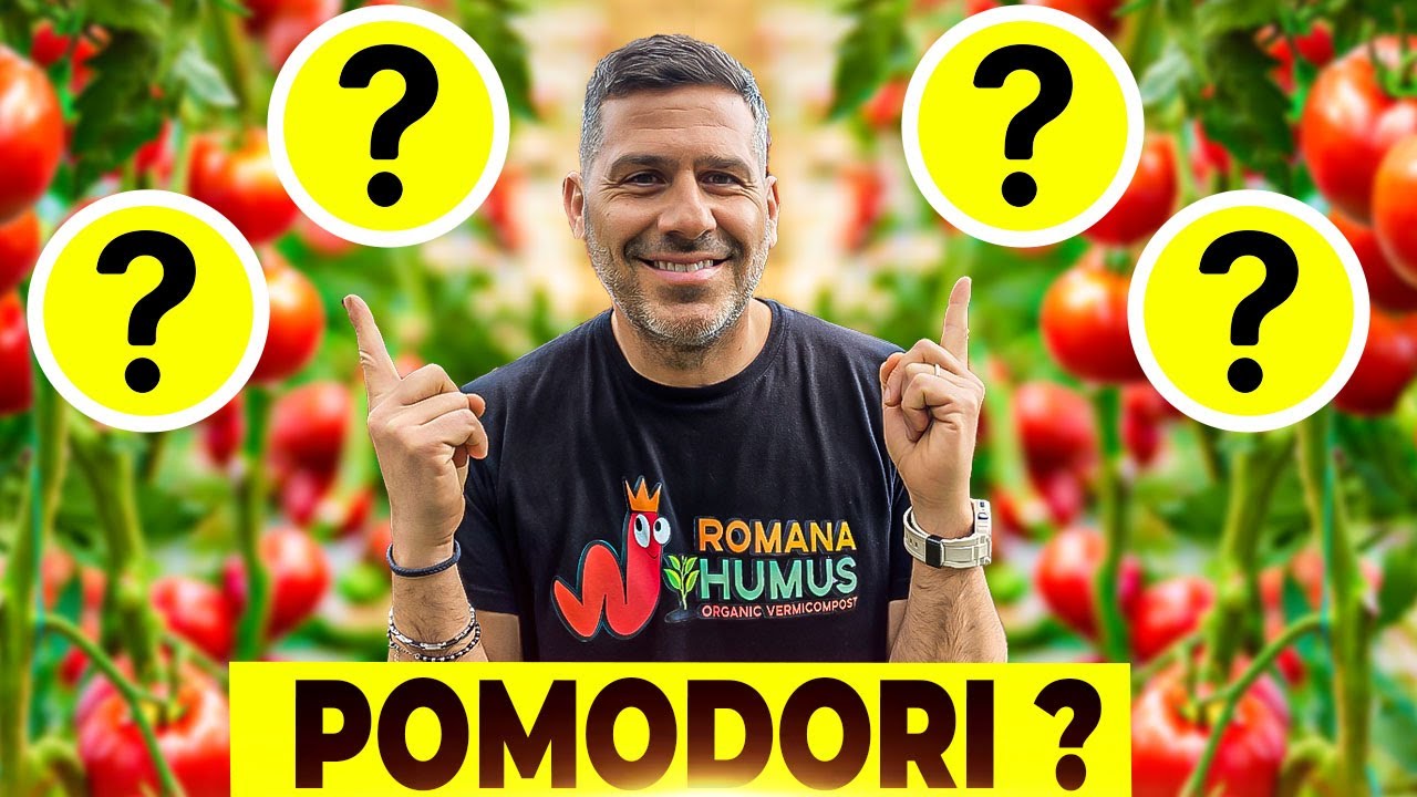 Ecco cosa piantare VICINO ai POMODORI 🍅🥕🧅 INCREDIBILE !!!